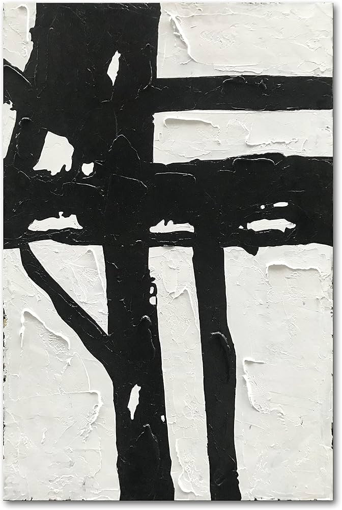 NANKAI Hand-Painted Black and White Abstract Wall Art Contemporary Minimalist Oil Painting Art 45... | Amazon (US)