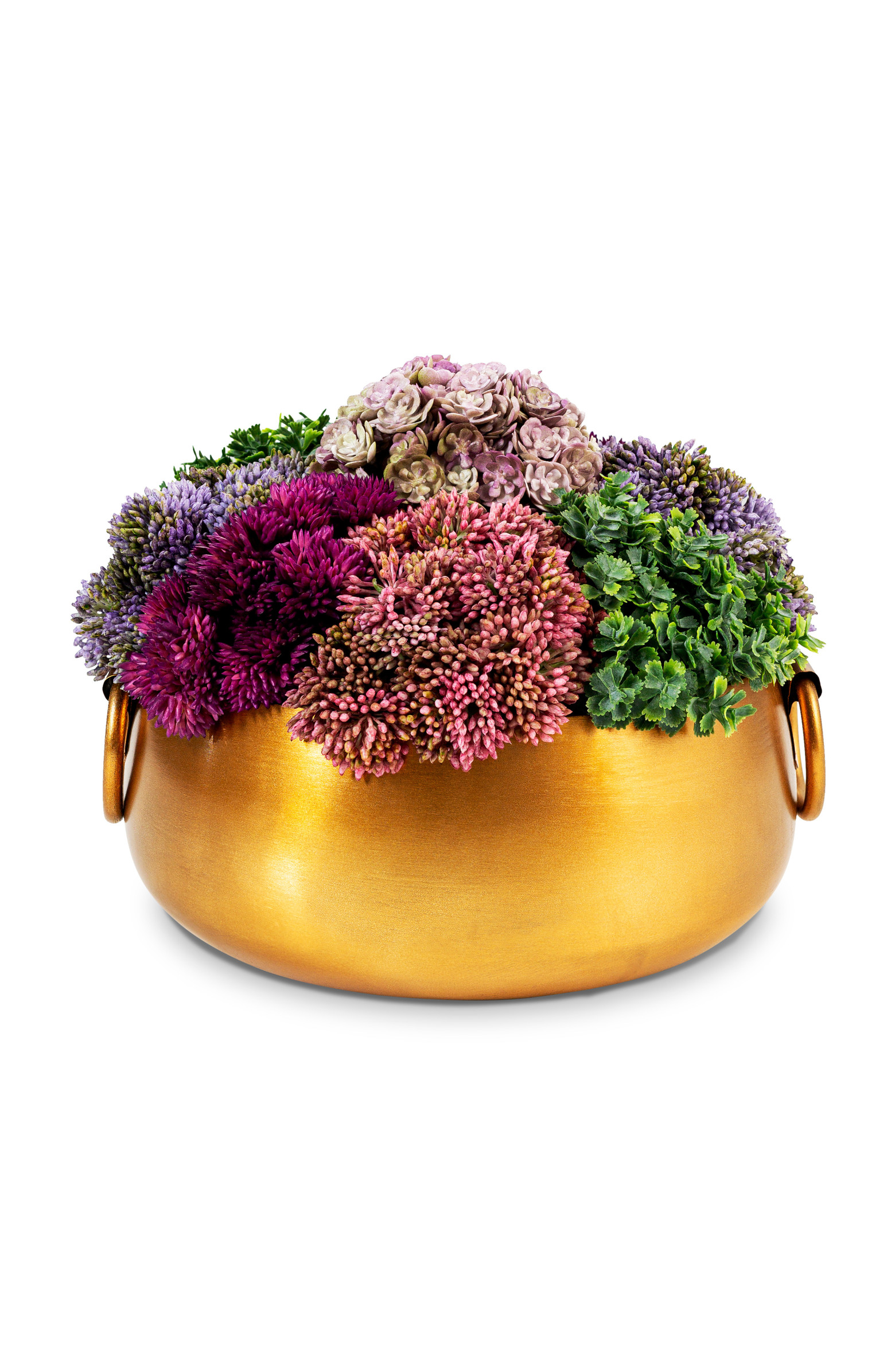 Alba Sedum Arrangement in Gold Handi Bowl | Nordstrom
