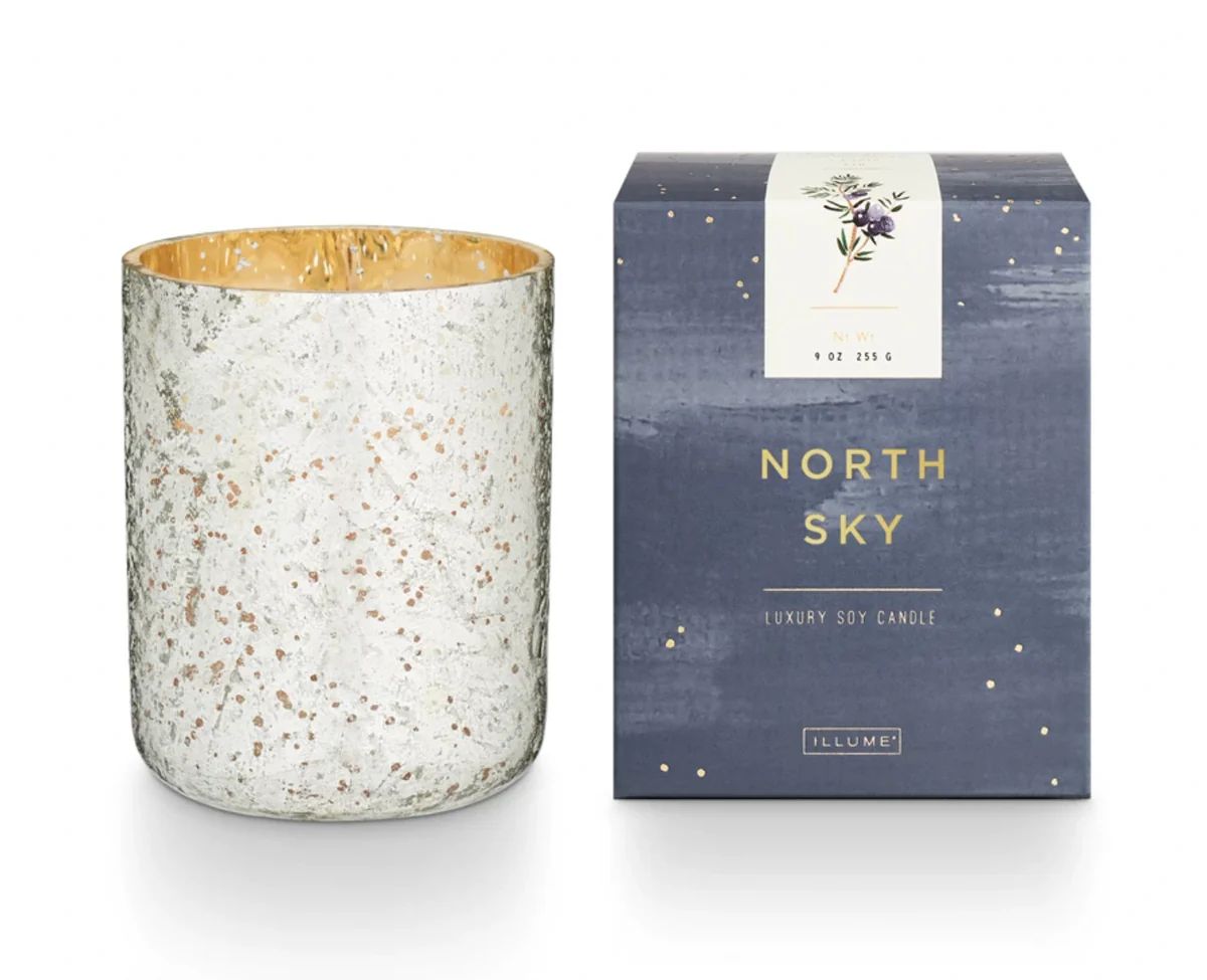 North Sky Luxe Sanded Mercury Candle Silver | Megan Molten
