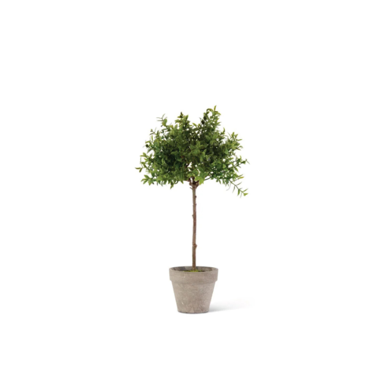 Tea Leaf Topiary - Large | Brooke and Lou