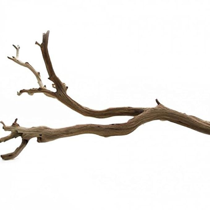 Koyal Wholesale California Driftwood with Natural Brown Branches, 12-Inch | Amazon (US)