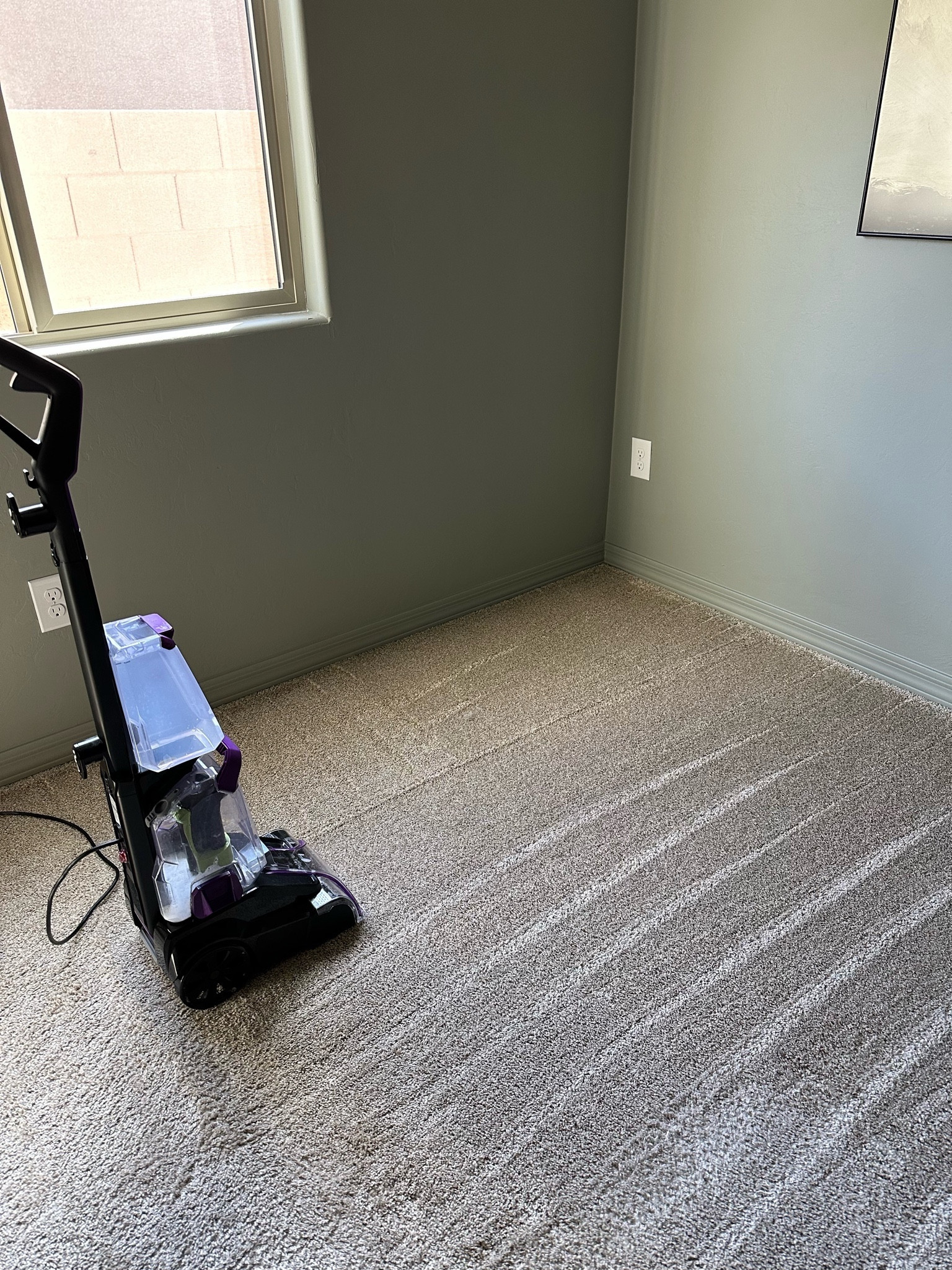 Bissel carpet cleaner, pet carpet cleaner, powerbrush, dual tank, walmart finds 

#LTKhome