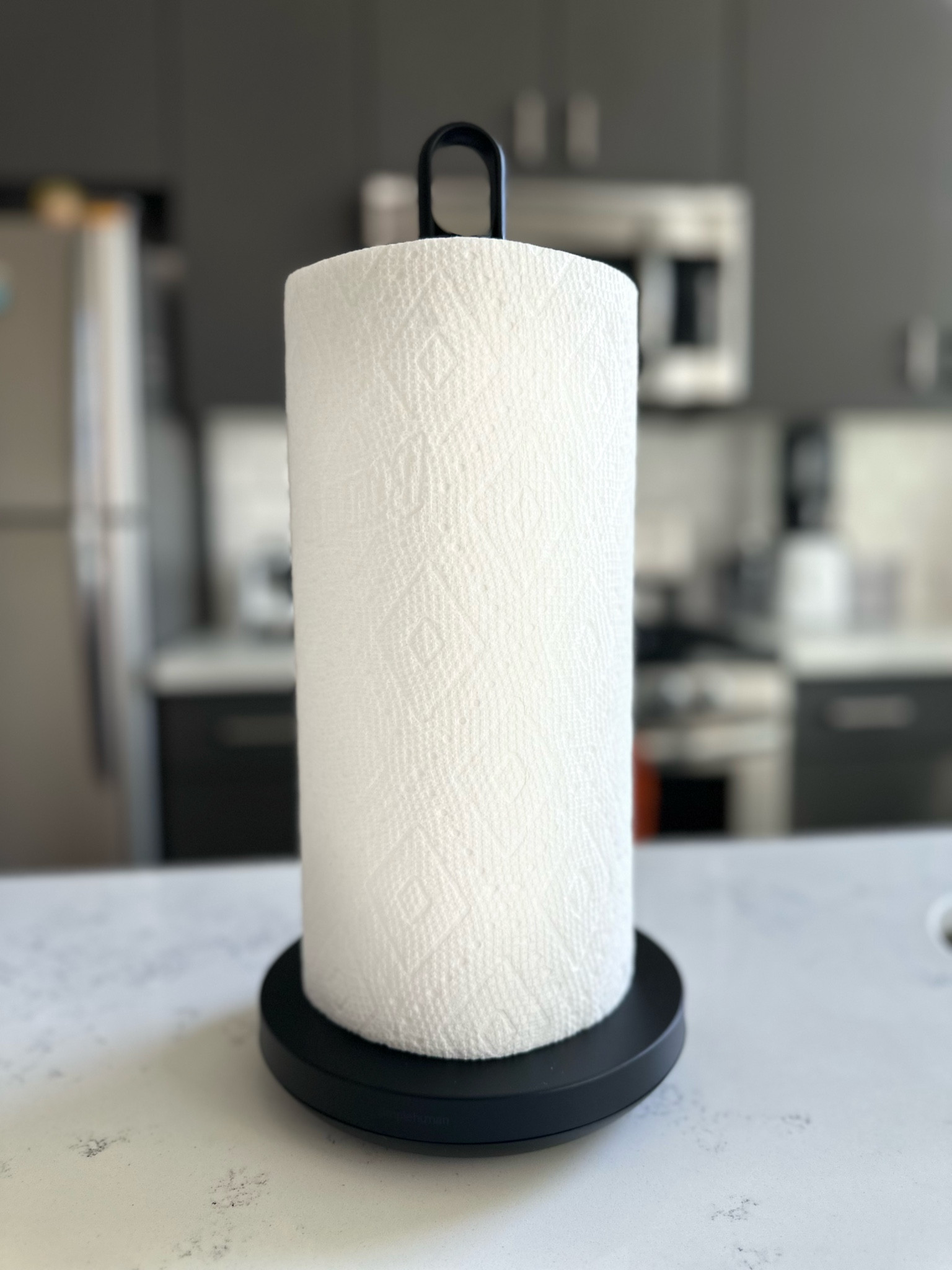 i'm so in love with my simple human paper towel holder😍🖤 it's so clean and modern looking and makes my kitchen look very expensive😏 

#LTKFindsUnder100