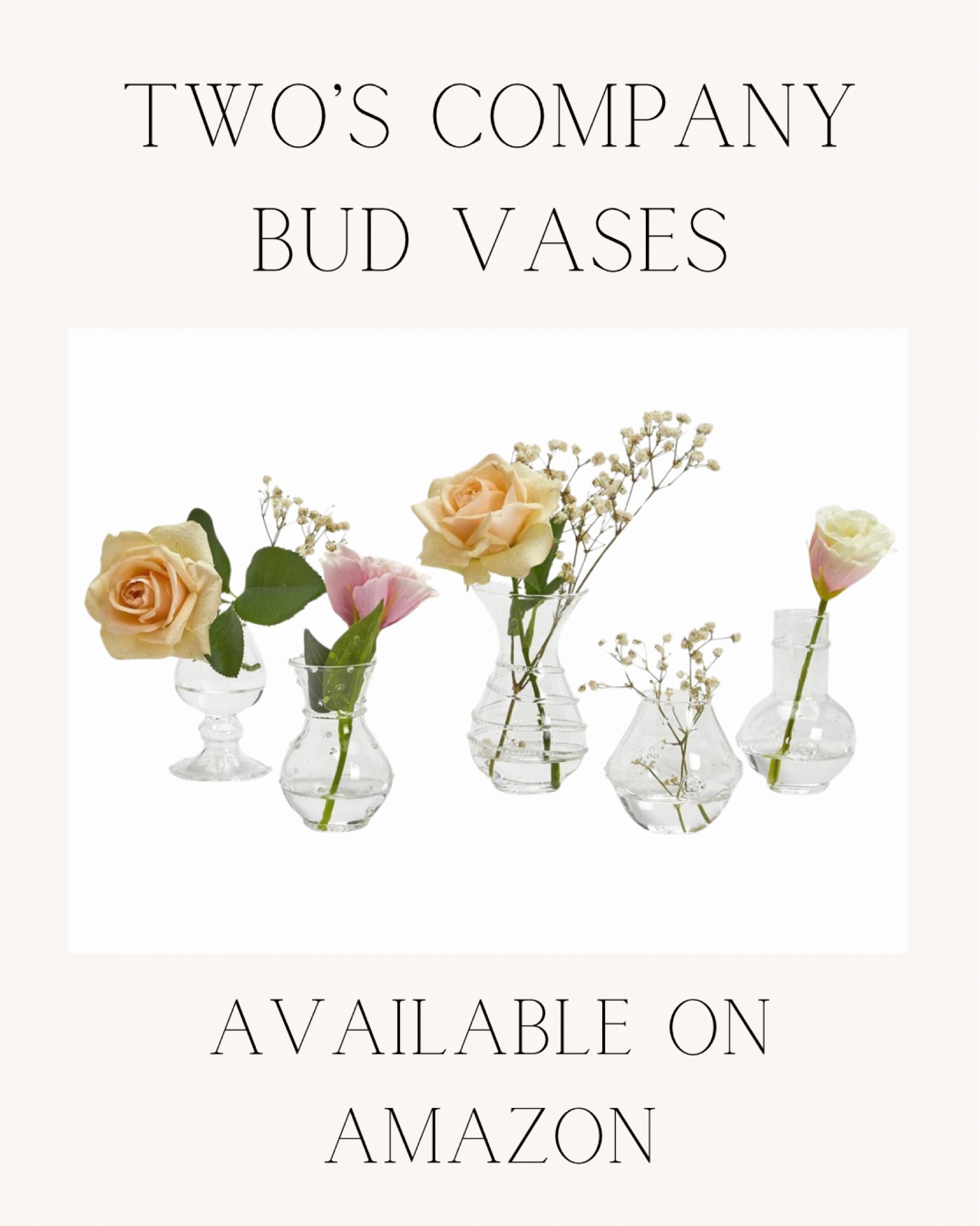 Two’s Company Bud vases! My go to for hosting and gifts!

#LTKwedding #LTKGiftGuide #LTKhome