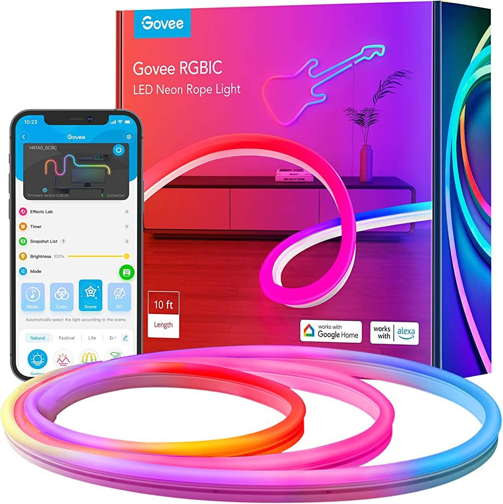 Govee Neon RGBIC Rope Lights with Music Sync, DIY Design, Works with Alexa, Google Assistant, 10f... | Amazon (US)