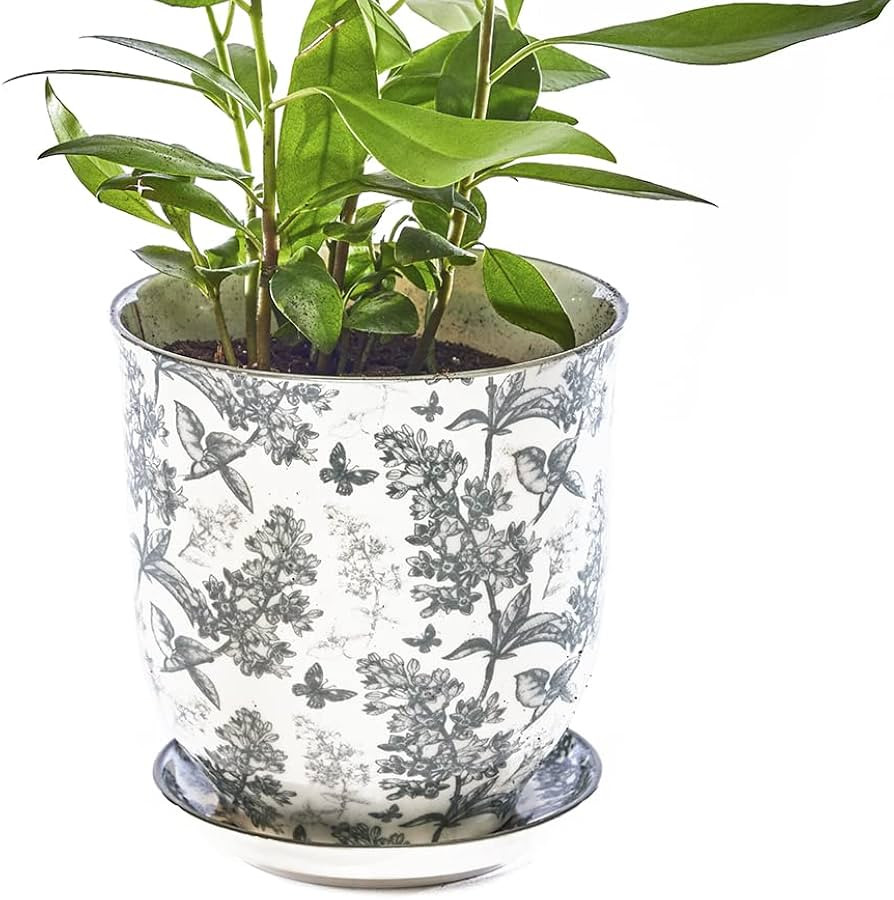 CHIVE ‘Liberte’ Ceramic Succulent Pots — 4.25” Cute Vintage Farmhouse Style Planters for ... | Amazon (US)