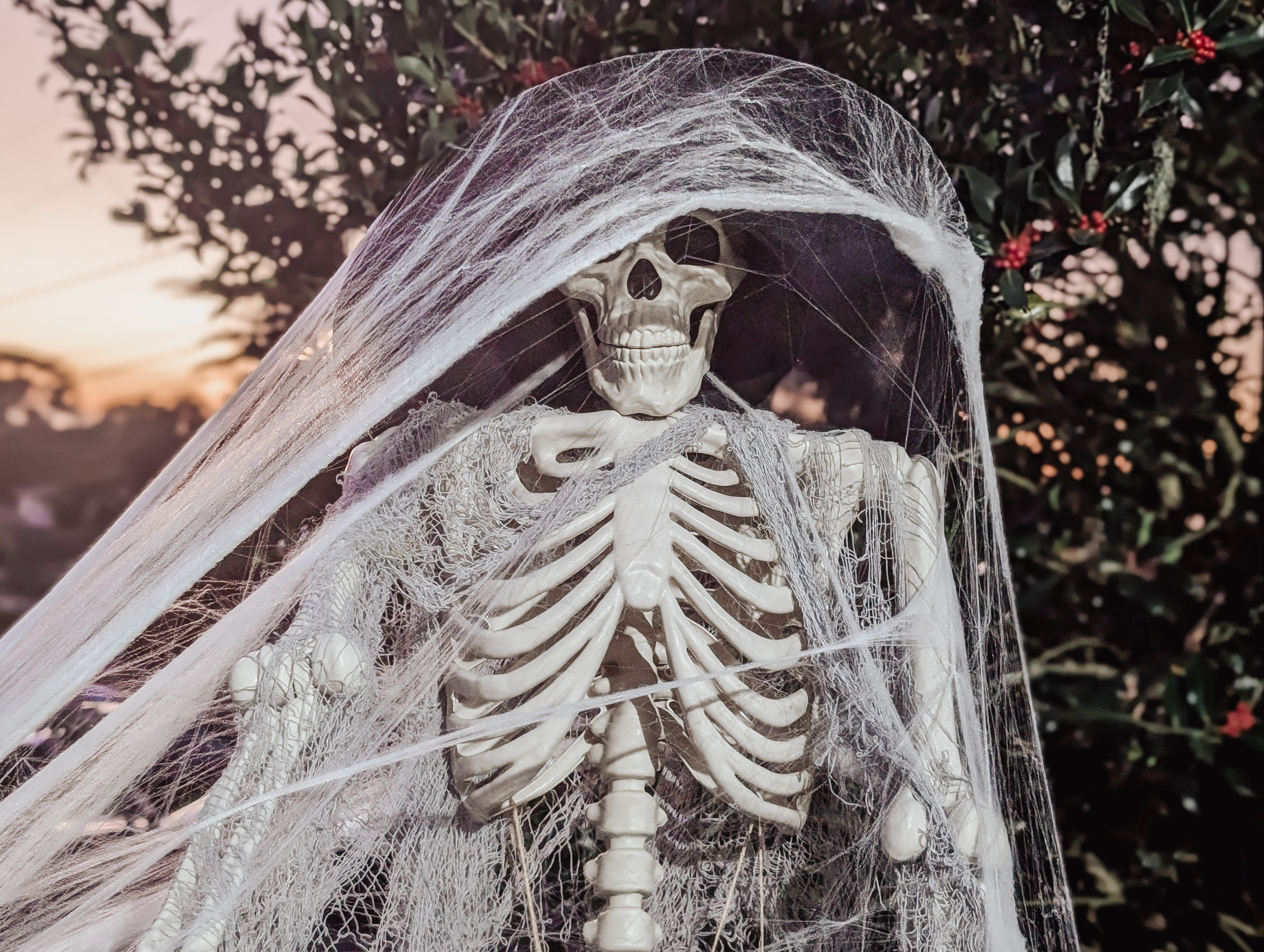 A spooky skeleton witch at sunset - find all of the supplies here!Sunset not included 👻

#LTKHalloween #LTKSeasonal #LTKHome