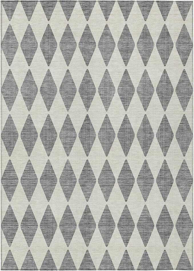 Addison Rugs Chantille ACN578 Gray 2'6" x 3'10" Indoor Outdoor Area Rug, Easy Clean, Machine Wash... | Amazon (US)