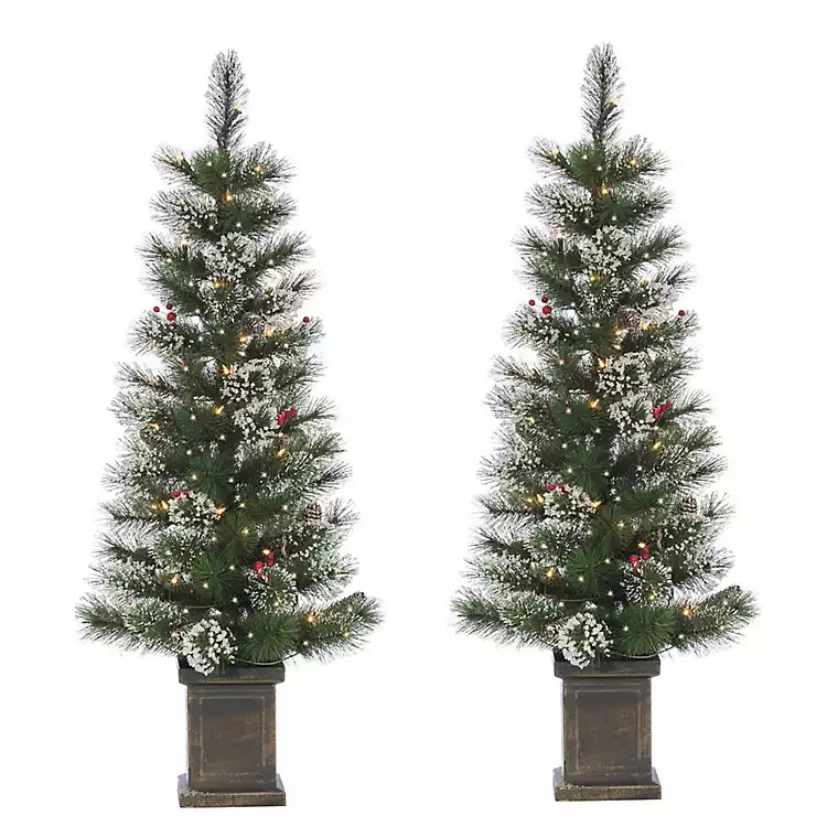 Pre-Lit Loveland Spruce Christmas Trees, Set of 2 | Kirkland's Home