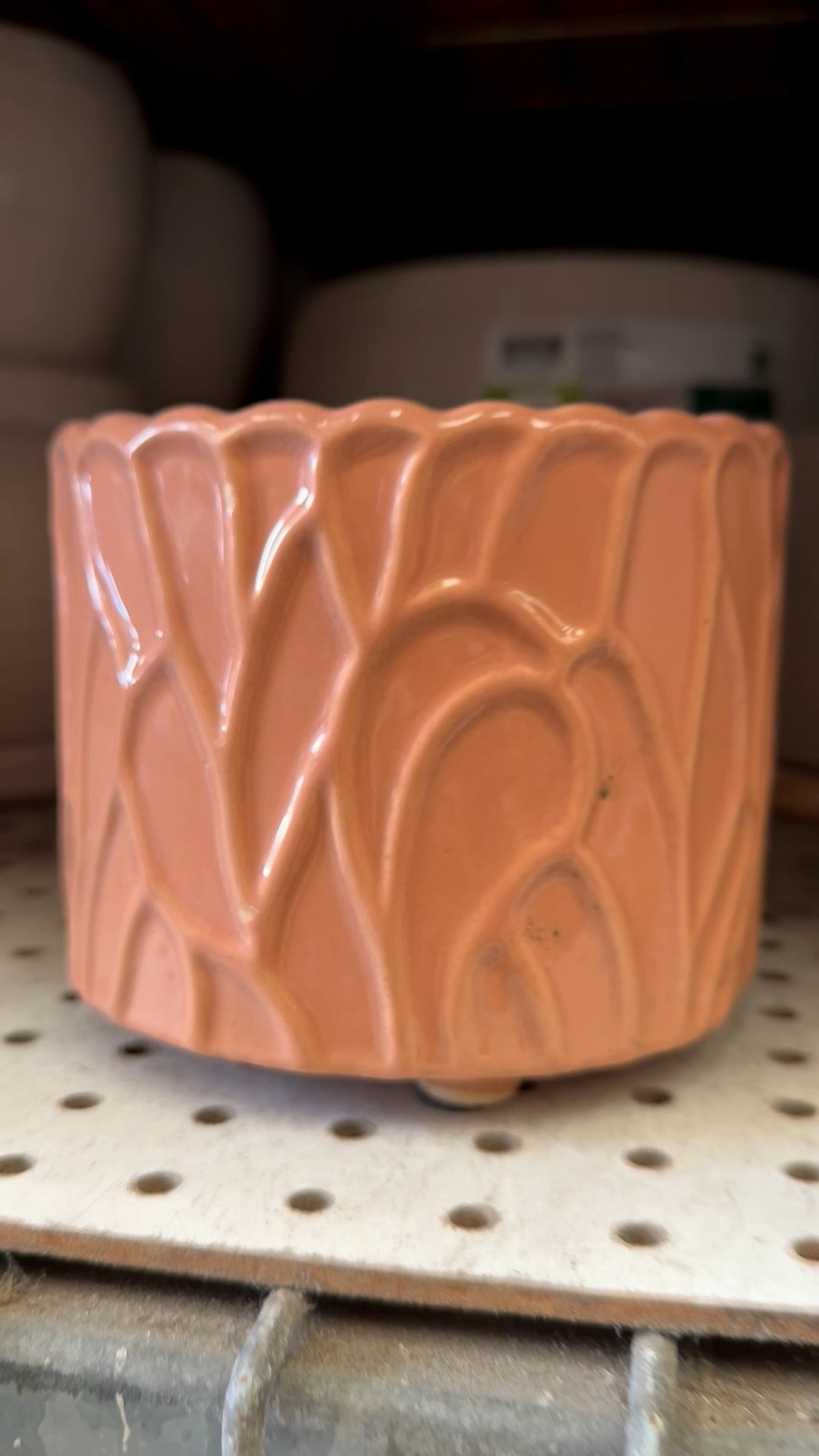 I have so many things to say about this sweet plant pot. 🪴

It’s a glazed planter in a pretty peach color with feet on the bottom. This gives it a slightly fancy or elevated look. There’s no drainage hole so it’s perfect for your faux plants indoors.

What really caught my eye was the textured design. It’s dreamy as-is, but if you’re a mosaic artist this would make a fun substrate too! Adding your tile work in all of those sections would be beautiful! For mosaic tips, tutorials + inspiration please visit my YouTube channel: YouTube.com/julieweilbacher, and follow @julieweilbacher on Instagram.

#planter #plantpot #flowerpot #indoorplantpot #homedepot #mosaic #springcoffeetabledecor #texturedplanter #peachpot #glazedflowerpot

#LTKHome #LTKSeasonal