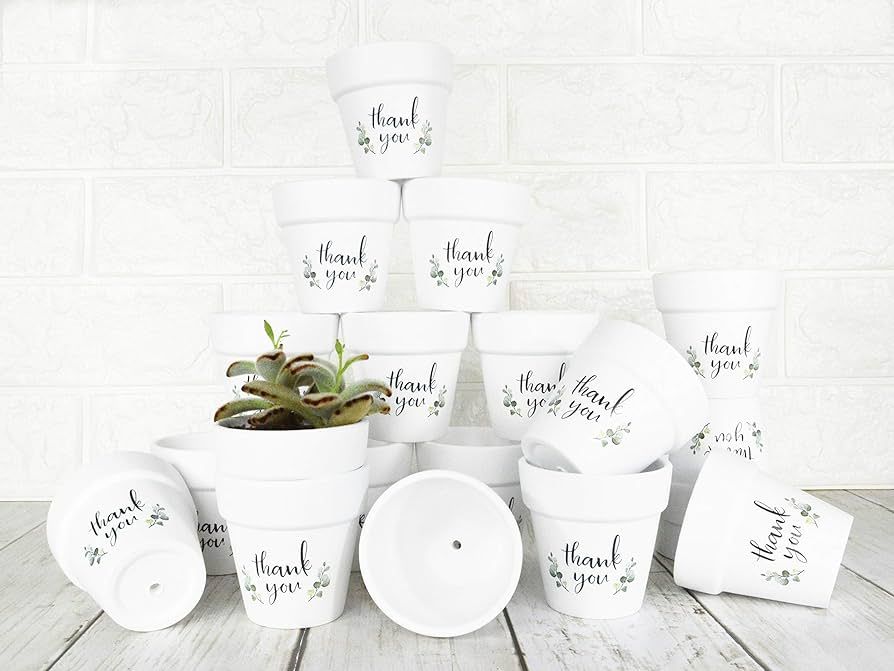 2.5 Inch Succulent Pots 20 Pcs Small Clay Pots Mini White Terracotta Pots Plant Pots Mini Flower ... | Amazon (US)