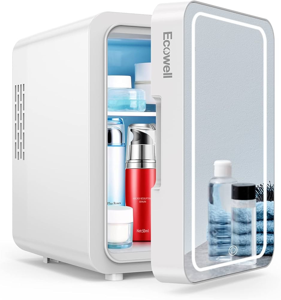 Ecowell WRE110 Mini Bedroom, 4L/6 Can Skincare Fridge with LED Mirror, AC/DC 12V Small Refrigerat... | Amazon (US)