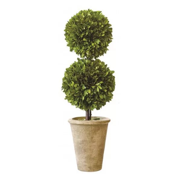 Preserved Boxwood Double Ball Topiary | Wayfair North America