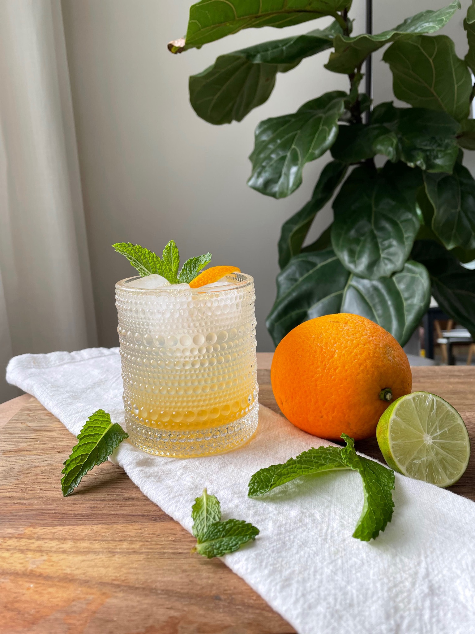 Cheers to this non-alcoholic orange mojito 🍊

#LTKSeasonal #LTKFind #LTKhome