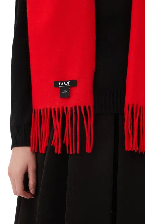 GOBI Mongolian Cashmere Cashmere Fringed Scarf in High Risk at Nordstrom | Nordstrom