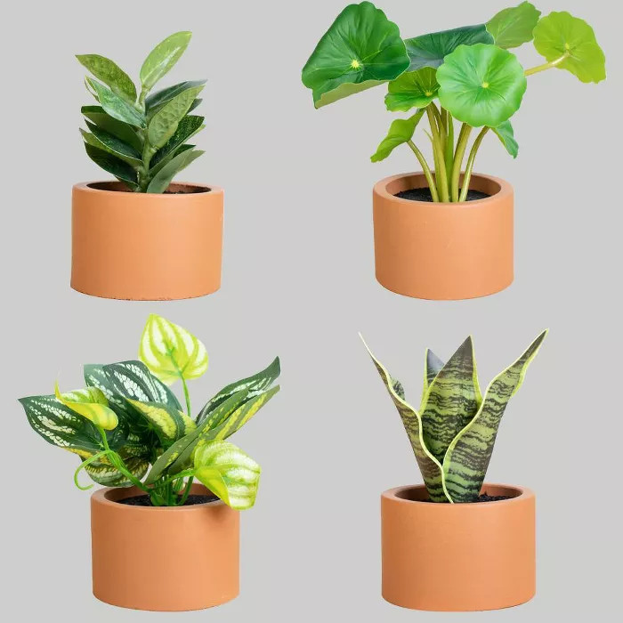 4pk Potted Plants - Bullseye's Playground™ | Target