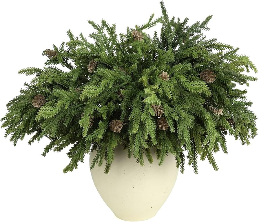 6 Pcs Real Touch Christmas Pine Branches with Pine Cones, Natural Droopy,Soft Bendable Pine Stems... | Amazon (US)