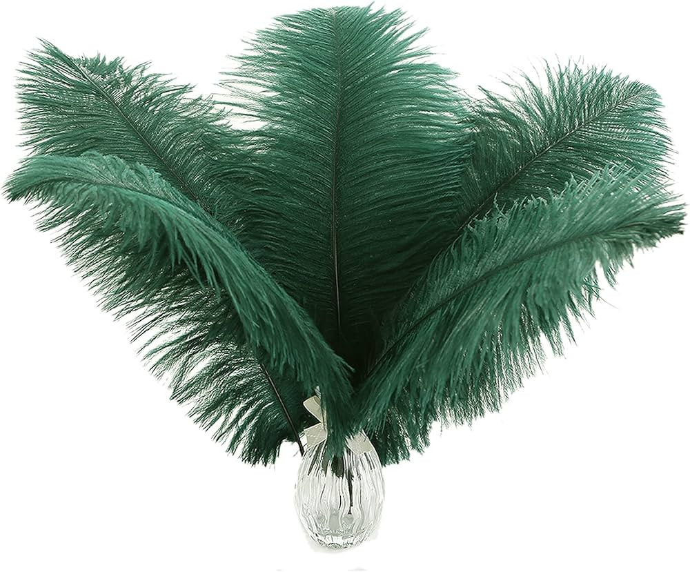 Ballinger Blackish Green Ostrich Feathers Bulk- 24pcs 8-10inch for Wedding Party Centerpieces Chr... | Amazon (US)