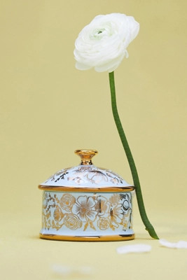 Curio Round Porcelain Box | Anthropologie (US)