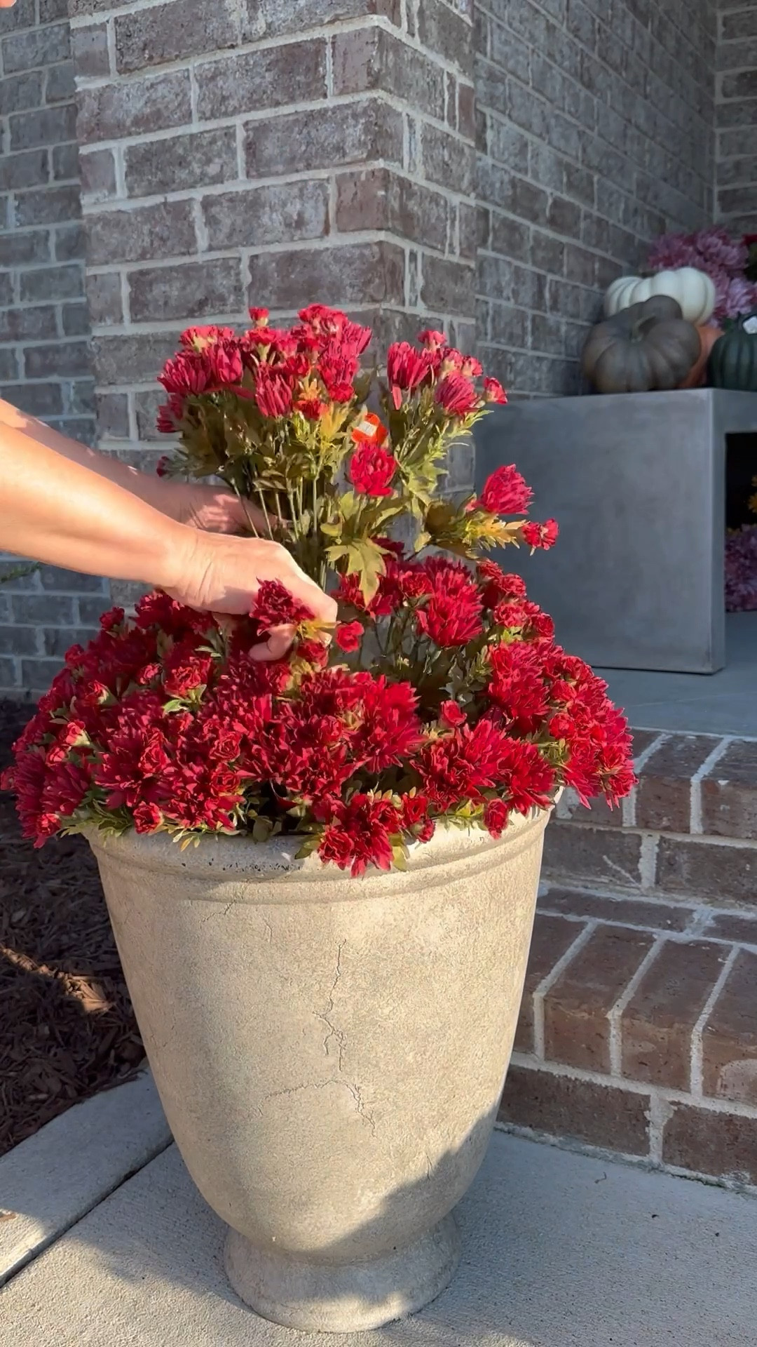 Faux Mums for the win! Mine are from hobby lobby but the link has great quality ones with the same look. Use in a covered area and they’ll look great all season without any worry about watering or care! 

#LTKSeasonal #LTKfindsunder50 #LTKhome