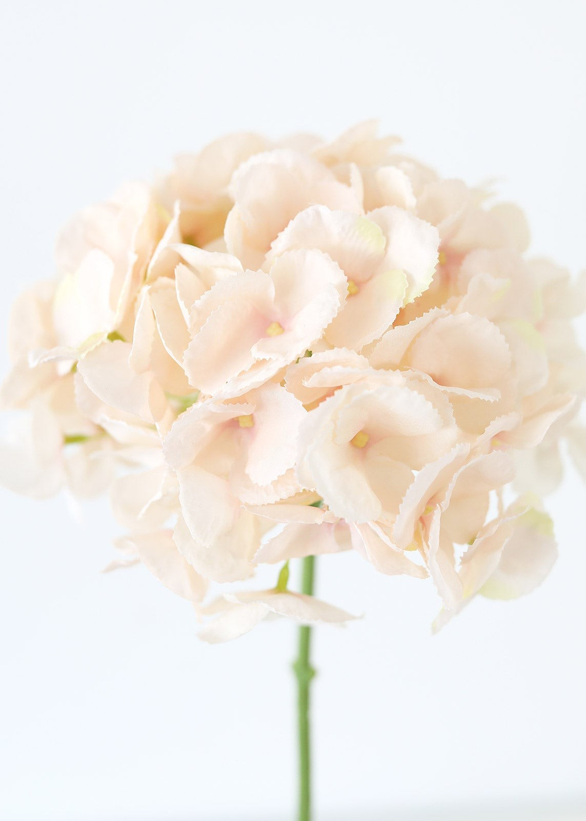 Oversized Artificial Hydrangea in Blush - 9" Bloom | Afloral (US)