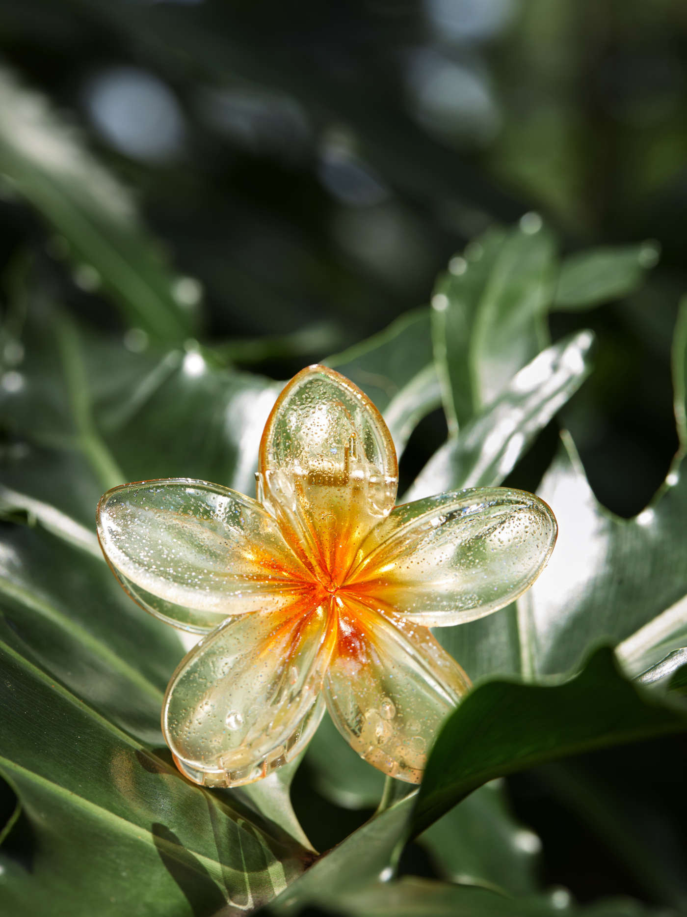 Floral Hair Claw | Cider