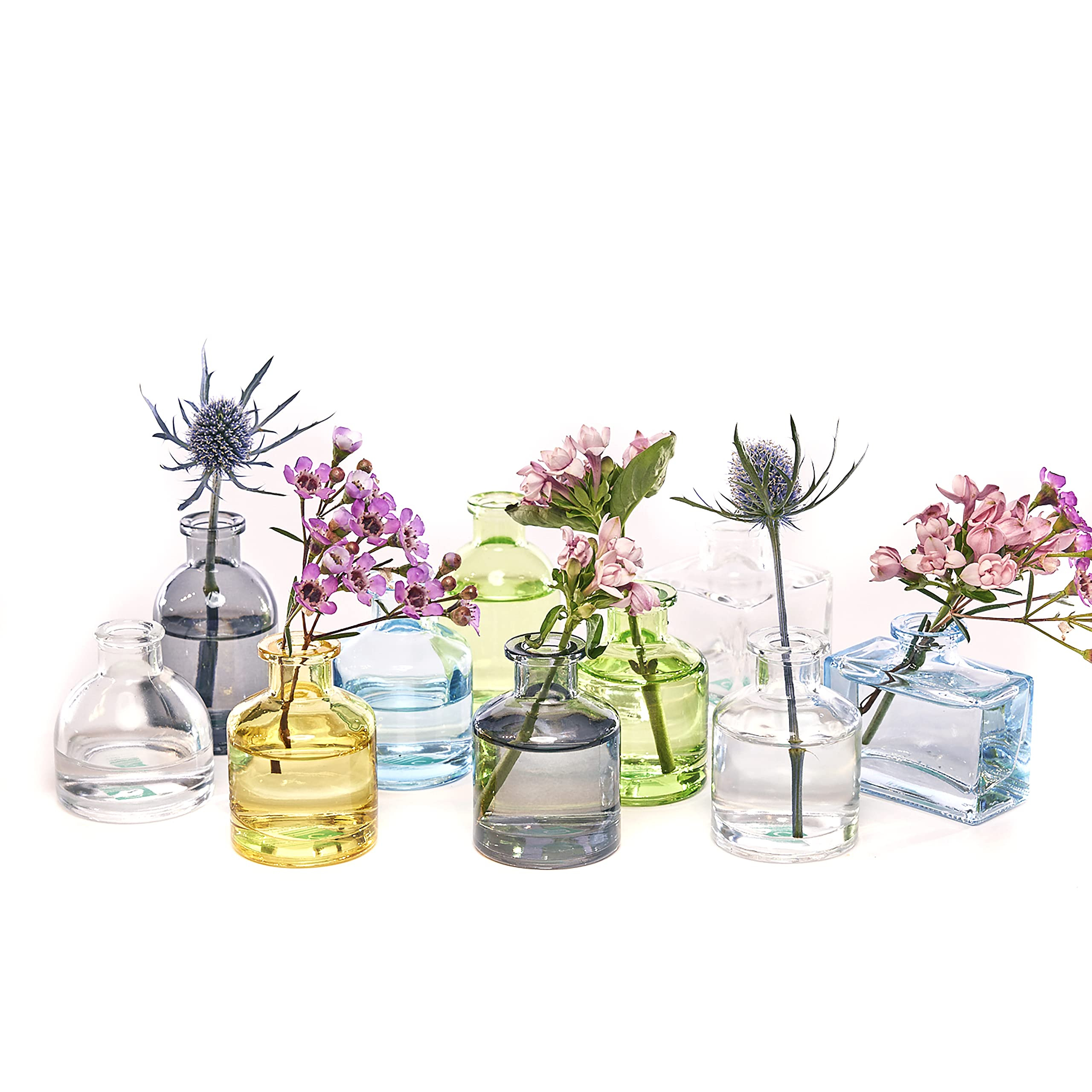 CHIVE ‘Loft’ Small Mini Flower Vases - Clear Glass Bud Vases, Set of 10 Color - Cute Vintage ... | Amazon (US)