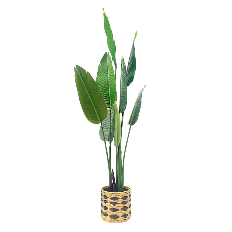 Tracey Boyd Tropical Plant in Basket, 60" | At Home
