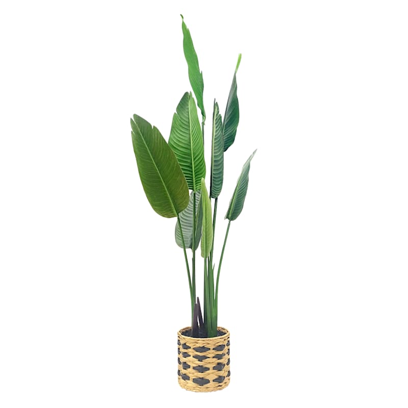 Tropical Plant in Basket, 60" | At Home