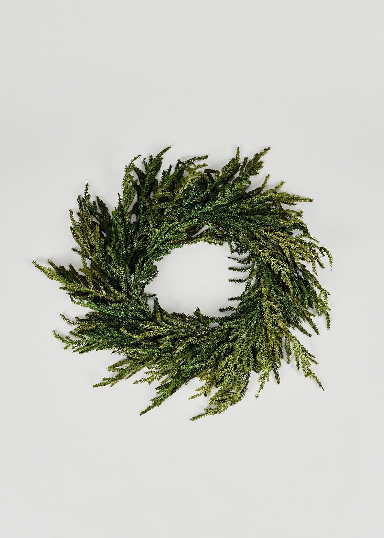 Afloral Real Touch Norfolk Pine Wreath - 24" | Afloral