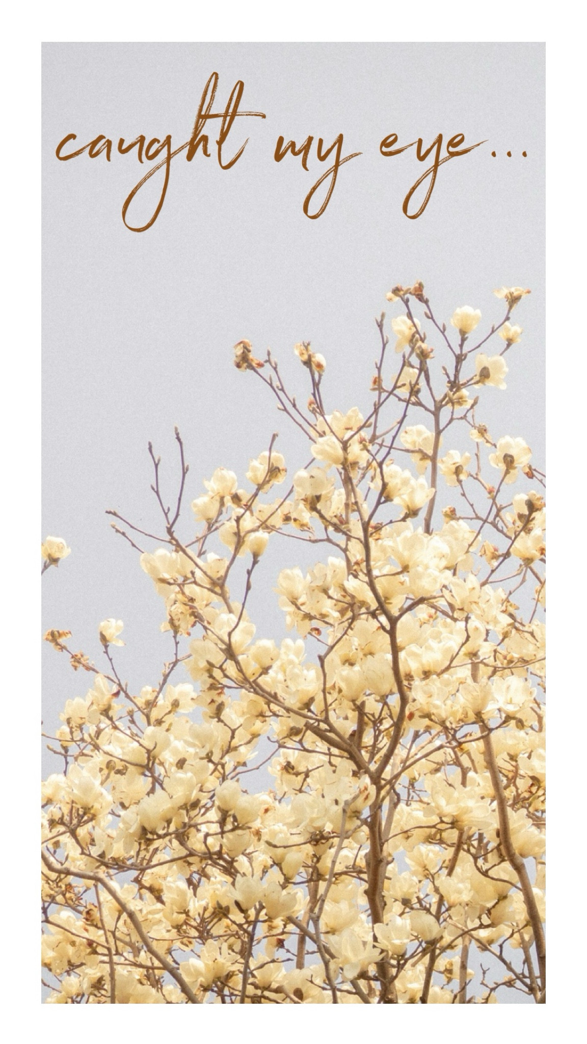 4.17 caught my eye 

#LTKsalealert #LTKstyletip #LTKSeasonal