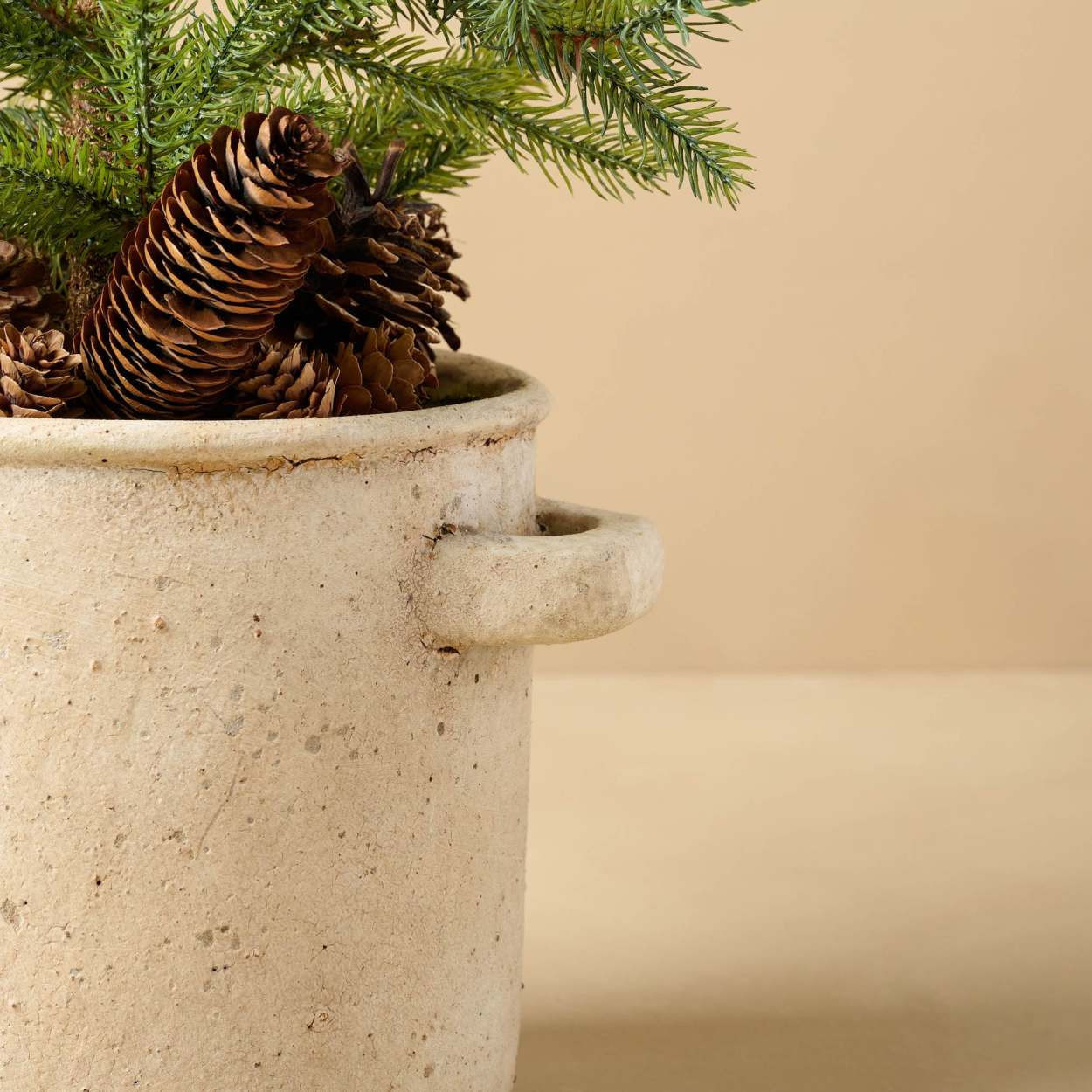 Potted Pine in Crock | Magnolia