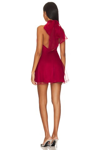 Heartbreaker Dress in Red | Revolve Clothing (Global)