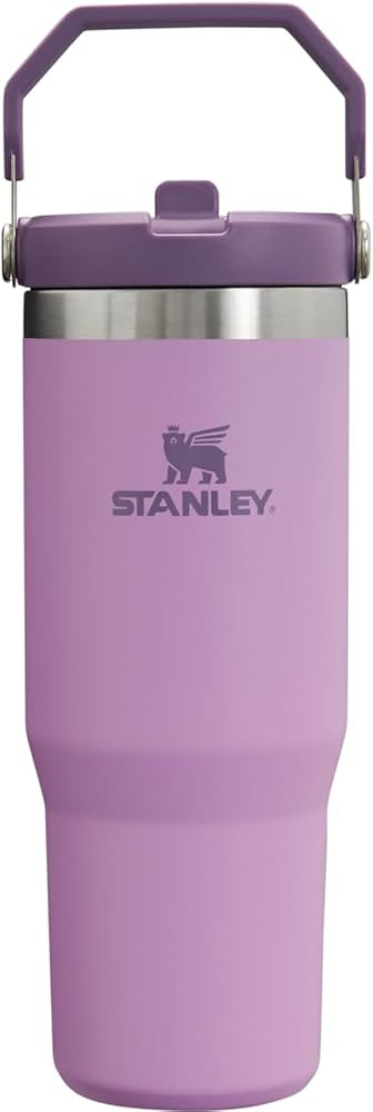STANLEY IceFlow Stainless Steel Tumbler with Straw, Vacuum Insulated Water Bottle for Home, Offic... | Amazon (US)