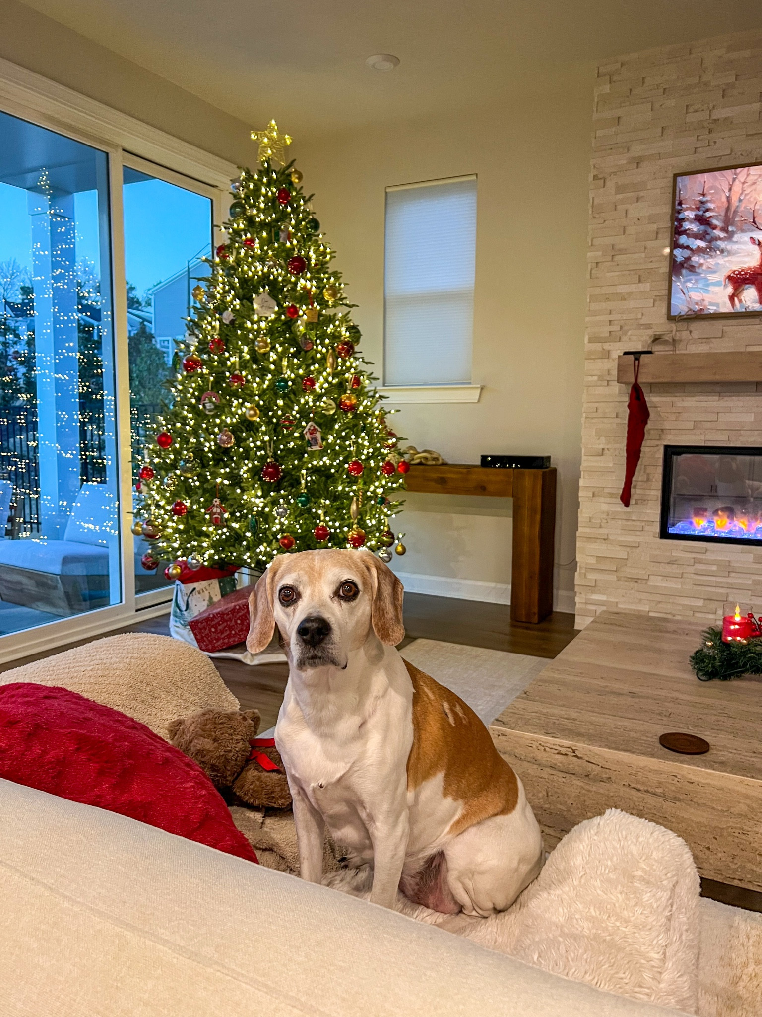 Christmas decor, Christmas sale, neutral living room style 

#LTKHoliday #LTKSeasonal #LTKHome