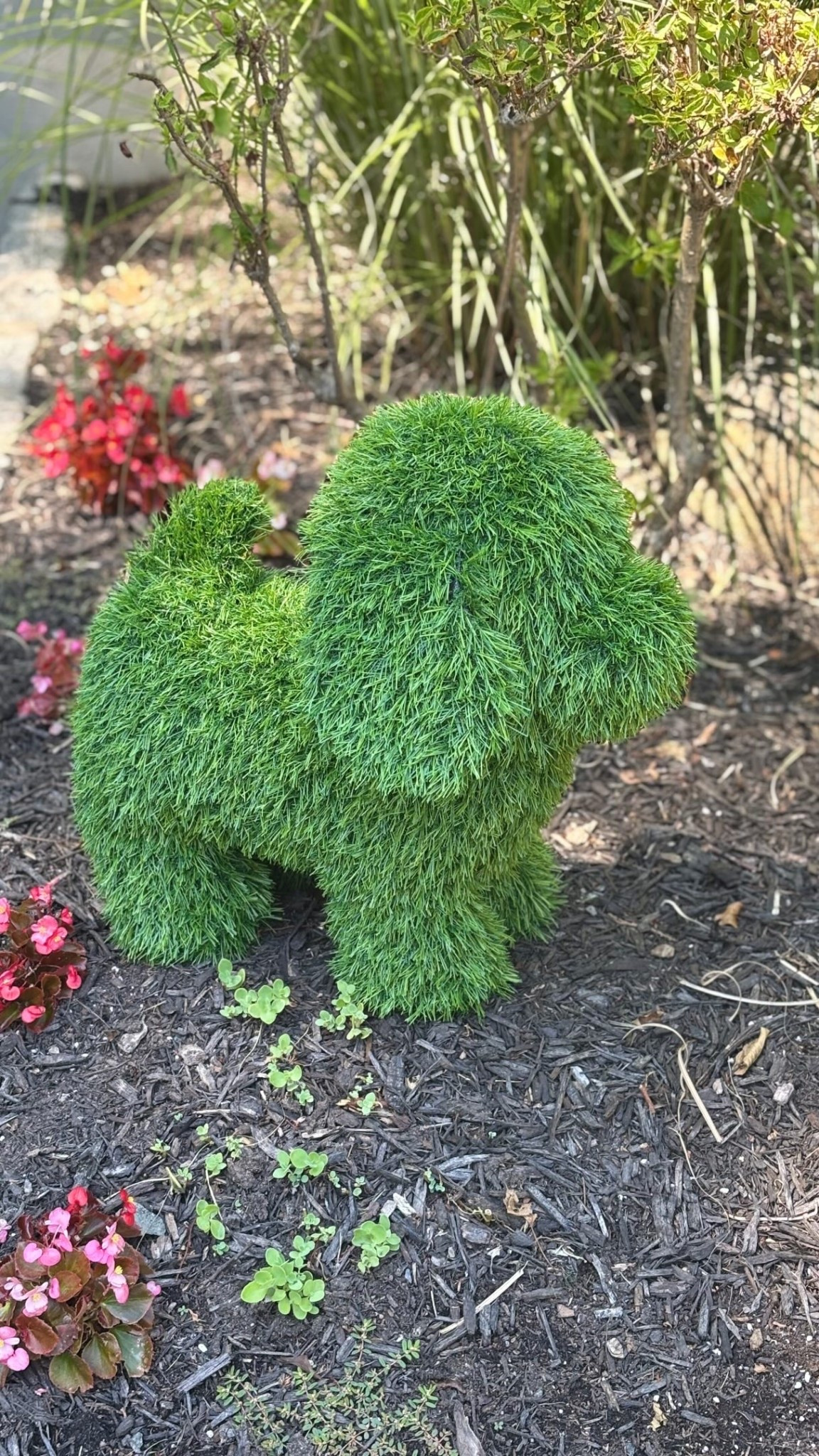 I couldn’t resist adding this adorable little guy to our front yard! He was SO easy to stake into the ground and instantly made the space more fun—without any watering or maintenance. 

If you need a little personality for your yard, this is it!

Comment LINK and I’ll send it to you! 💚

#dogmom #doglover #frontyarddecor #gardendecor #topiary @nearlynaturalfloral