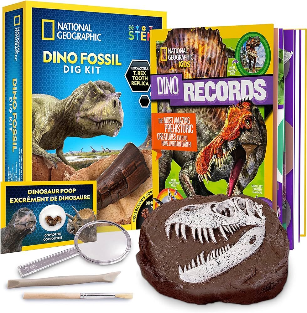 Amazon.com: NATIONAL GEOGRAPHIC Dino Fossil Dig Kit & Dinosaur Book for Kids- Excavate a Replica ... | Amazon (US)