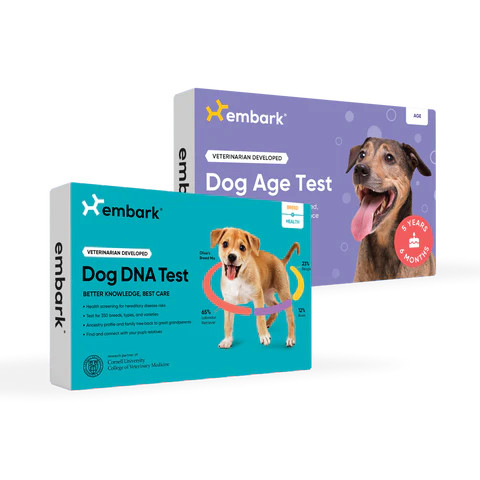 Breed + Health and Age Test Bundle | embarkvet