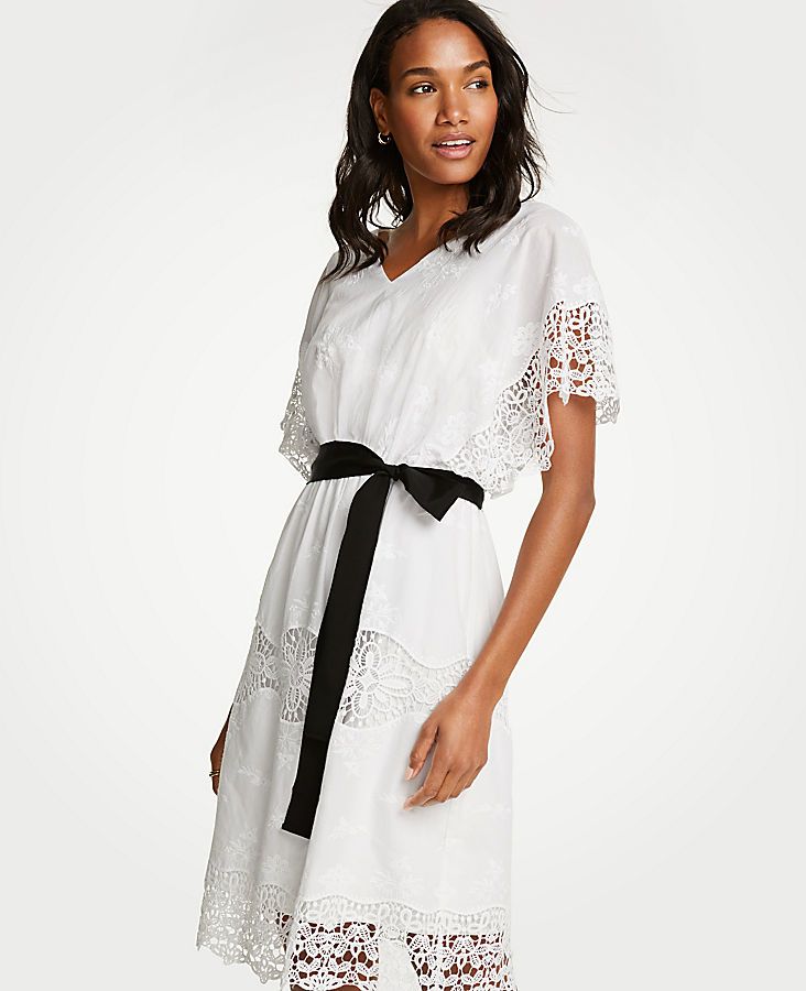 Lace Belted Dress | Ann Taylor (US)