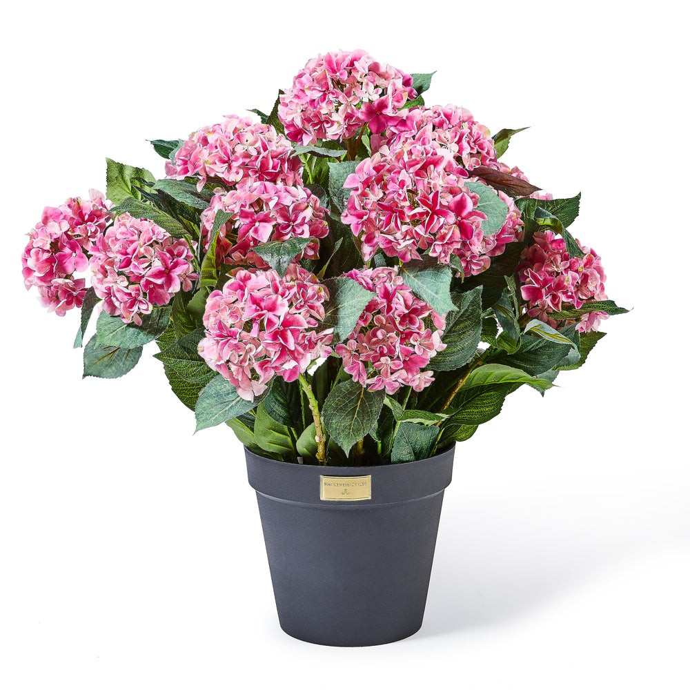 Pink Hydrangea Urn Filler | MacKenzie-Childs