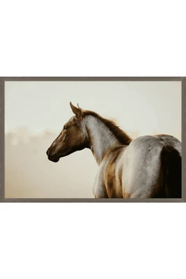Equestrian Gaze Wall Art | THELIFESTYLEDCO