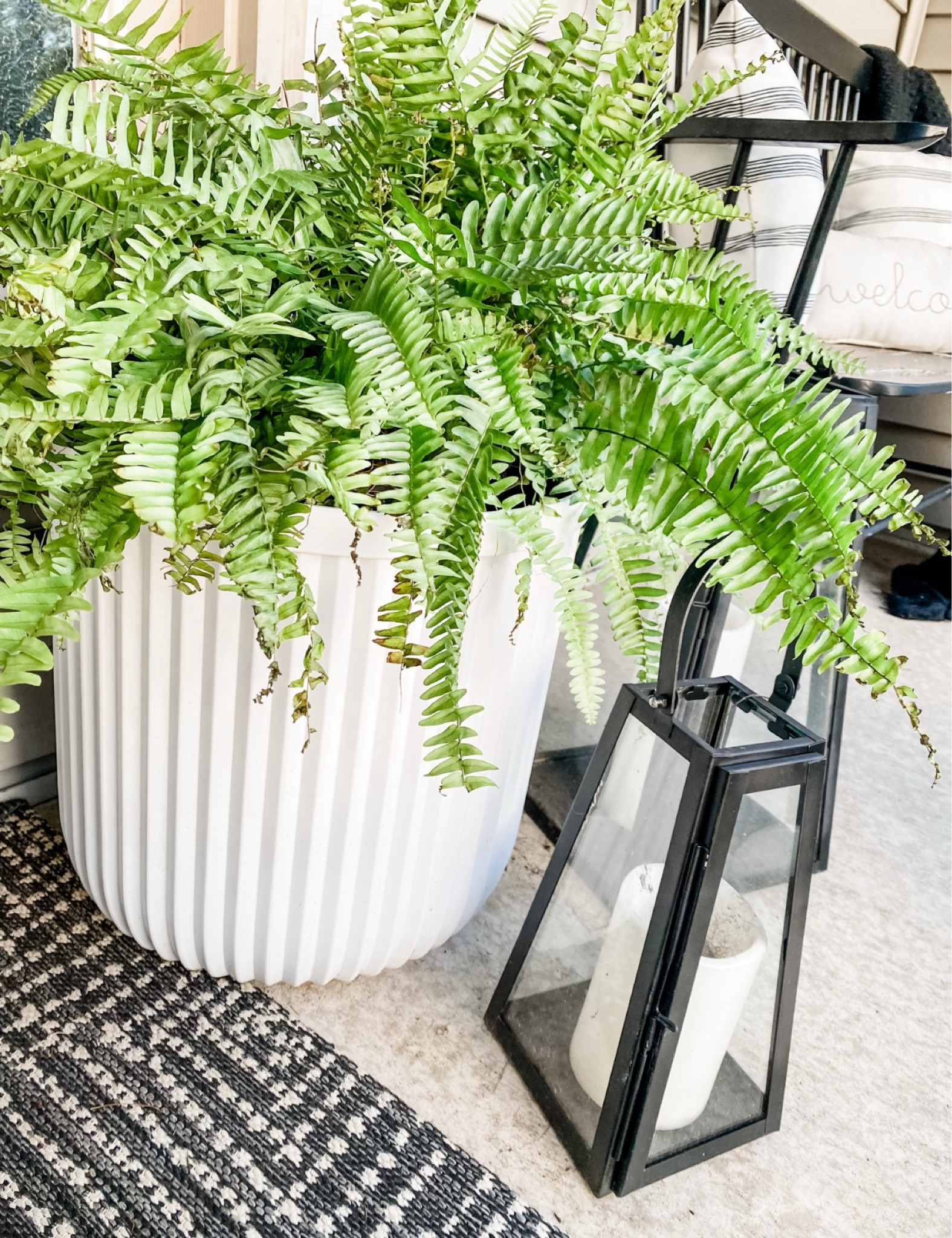 The viral Walmart planters are back in stock!! They sell out every year, so snag them soon! We’ve had ours for 2+ years (& leave them out year round) and they still look new! Under $30!

#LTKHome #LTKSeasonal