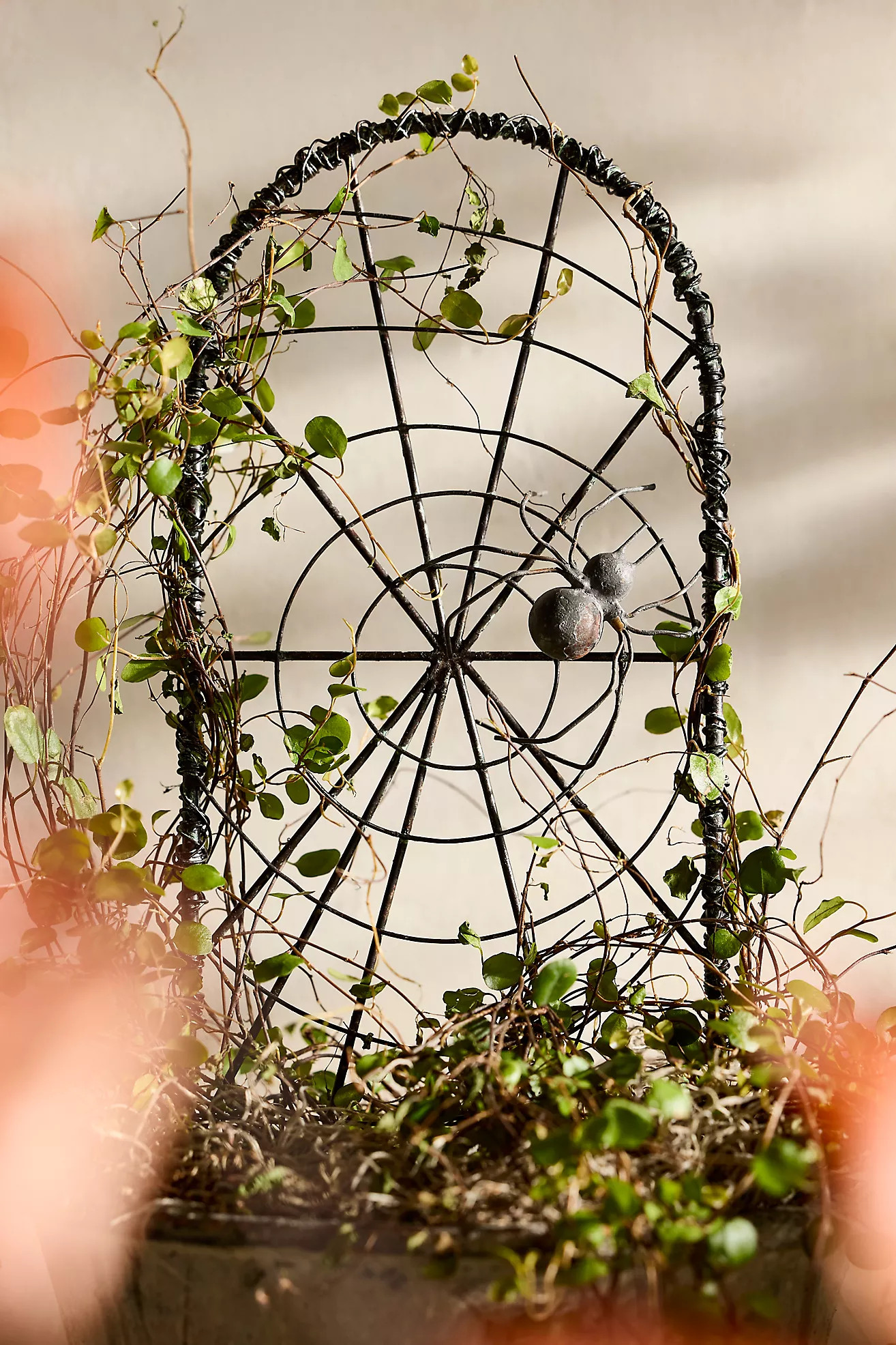 Terrain Iron Spiderweb Trellis | Anthropologie (US)