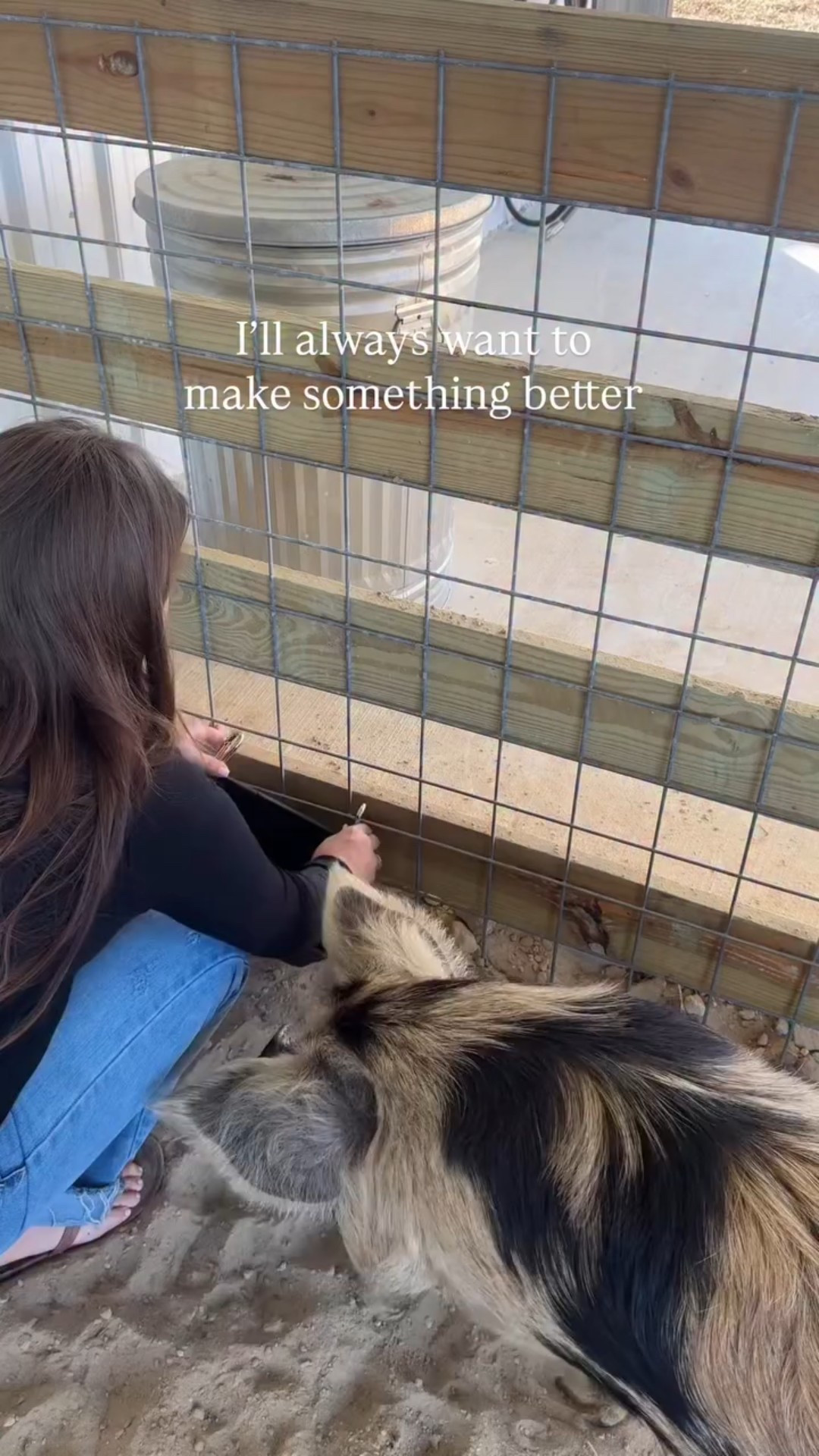 It really is a dream making the farm everything I want it to be 🥹❤️
.
.
.
.
.
.
.
#equestrian #horses #florida #horse #equine #farm #homestead #diy #pigs #raisingpigs