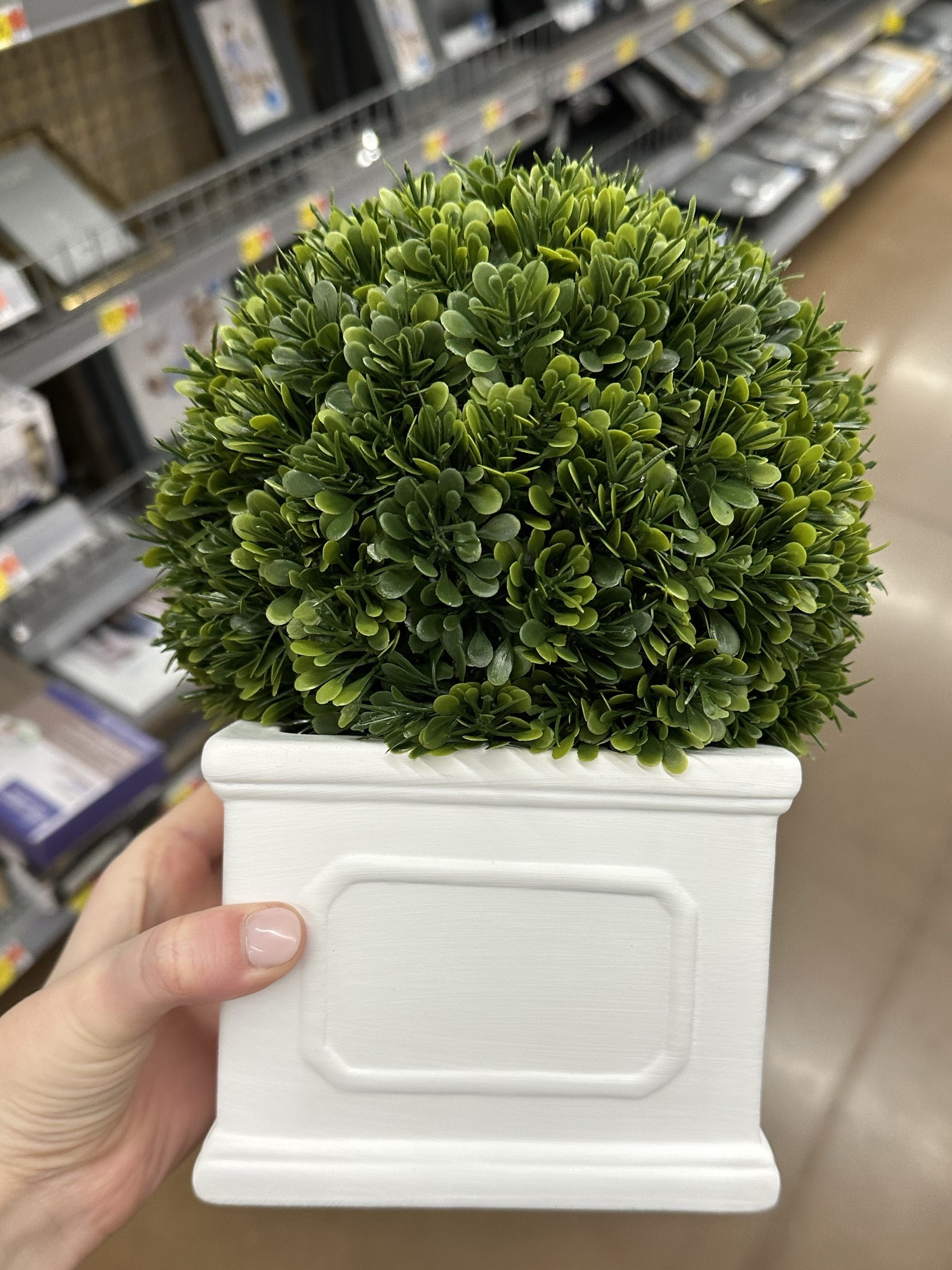 Boxwood topiary at Walmart!!! Grandmillennial 

#LTKfindsunder100 #LTKfindsunder50 #LTKsalealert