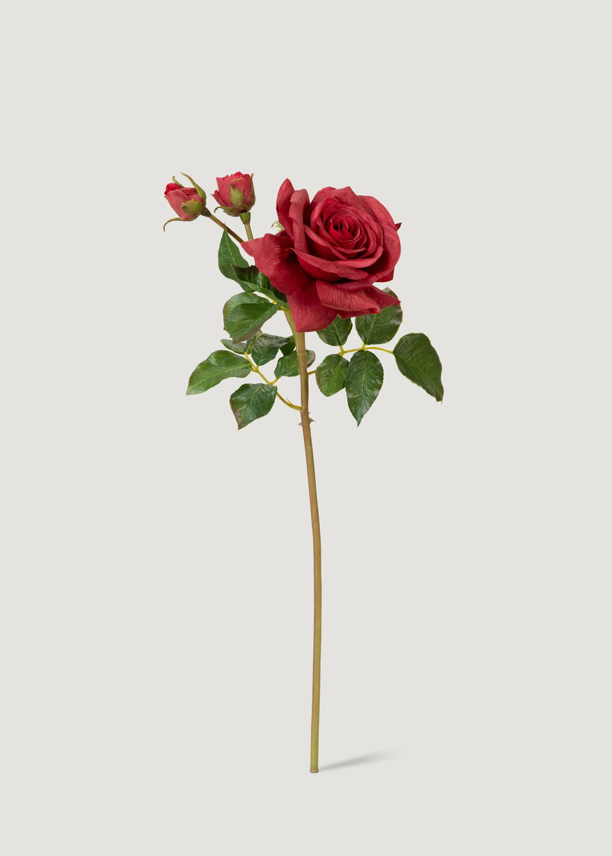 Red Real Touch English Rose Stem | Best Faux Flowers | Afloral | Afloral
