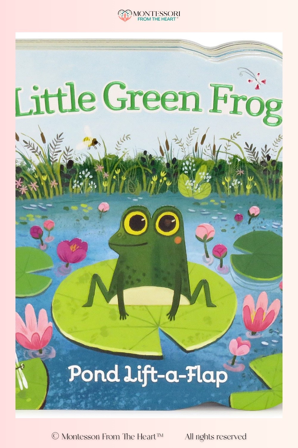 Little Green Frog ~ Book for Kids

#LTKKids #LTKHome #LTKstorytime