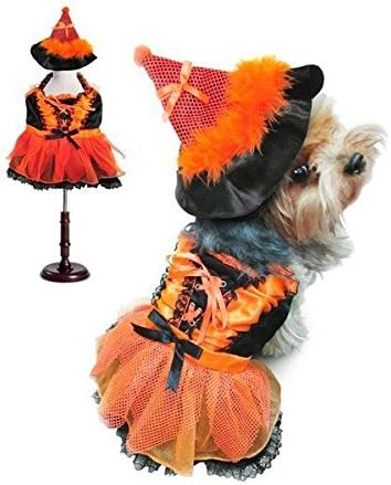 Dog Costume - ORANGE AND BLACK WITCH COSTUMES - LED Light Witches(Size 6) | Amazon (US)