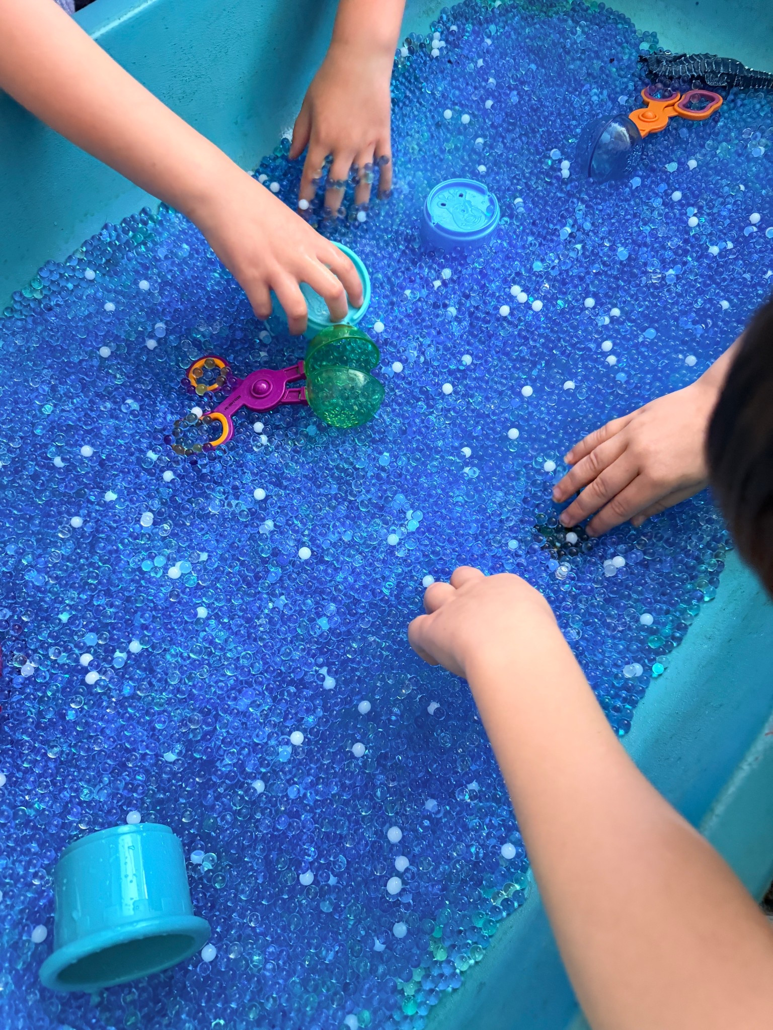 Water beads are so fun, especially when you are learning about animal habitats! 🐸🐟🦆🐢🦀🐬🐳🦞🦐🐊🦑🪼🦈🪸🦩🦭🐋🦦🐚

#LTKmomlife #LTKSeasonal #LTKKids