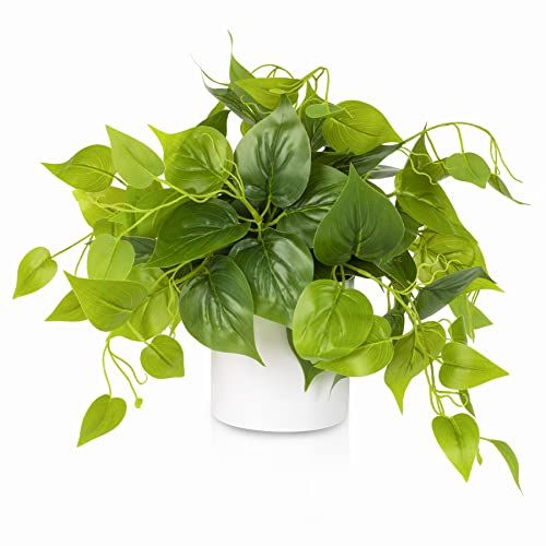 MARTHA&IVAN Faux Plants Indoor Artificial Plants for Home Decor Indoor Small Fake Plants for Deco... | Amazon (CA)